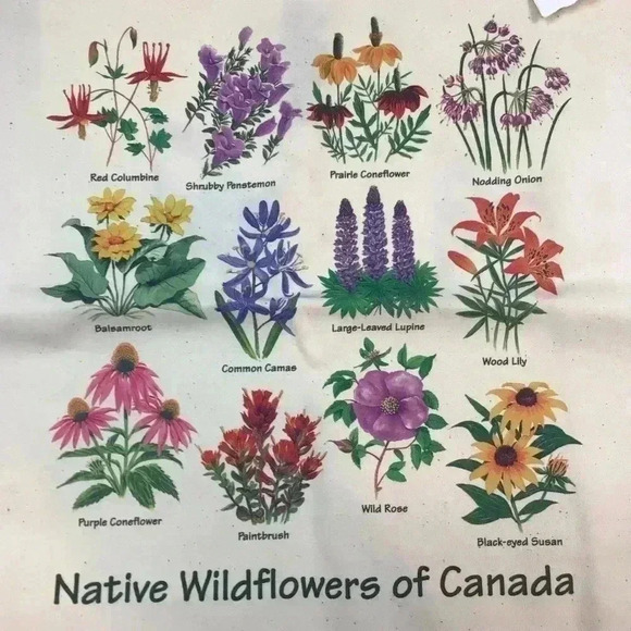 NWT Canadian wildflower canvas tote​ - Picture 2 of 4